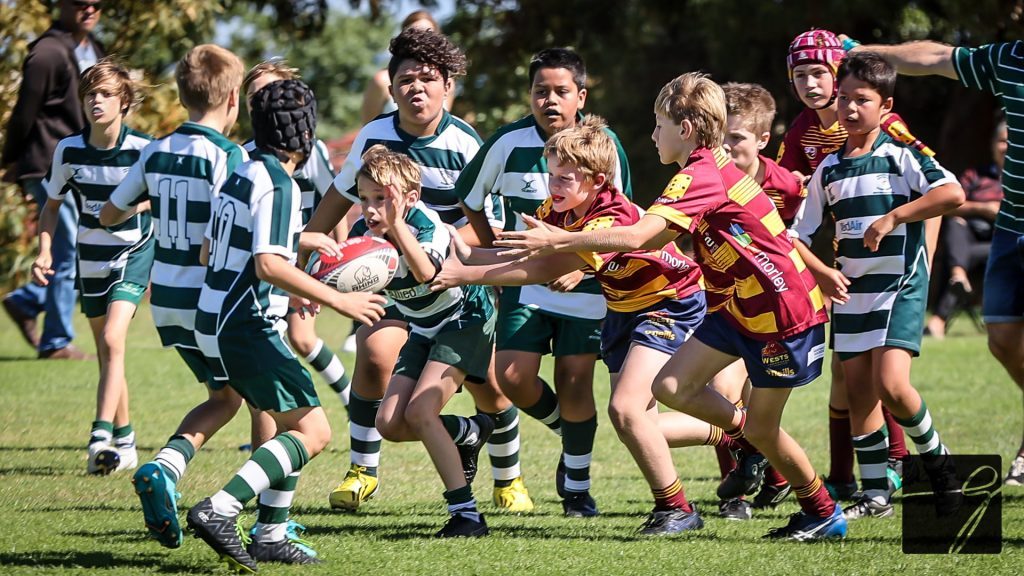 Wests U9s in attack